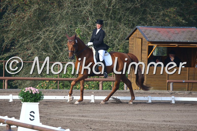 009M1403_Rotschopf_Dressur M.JPG